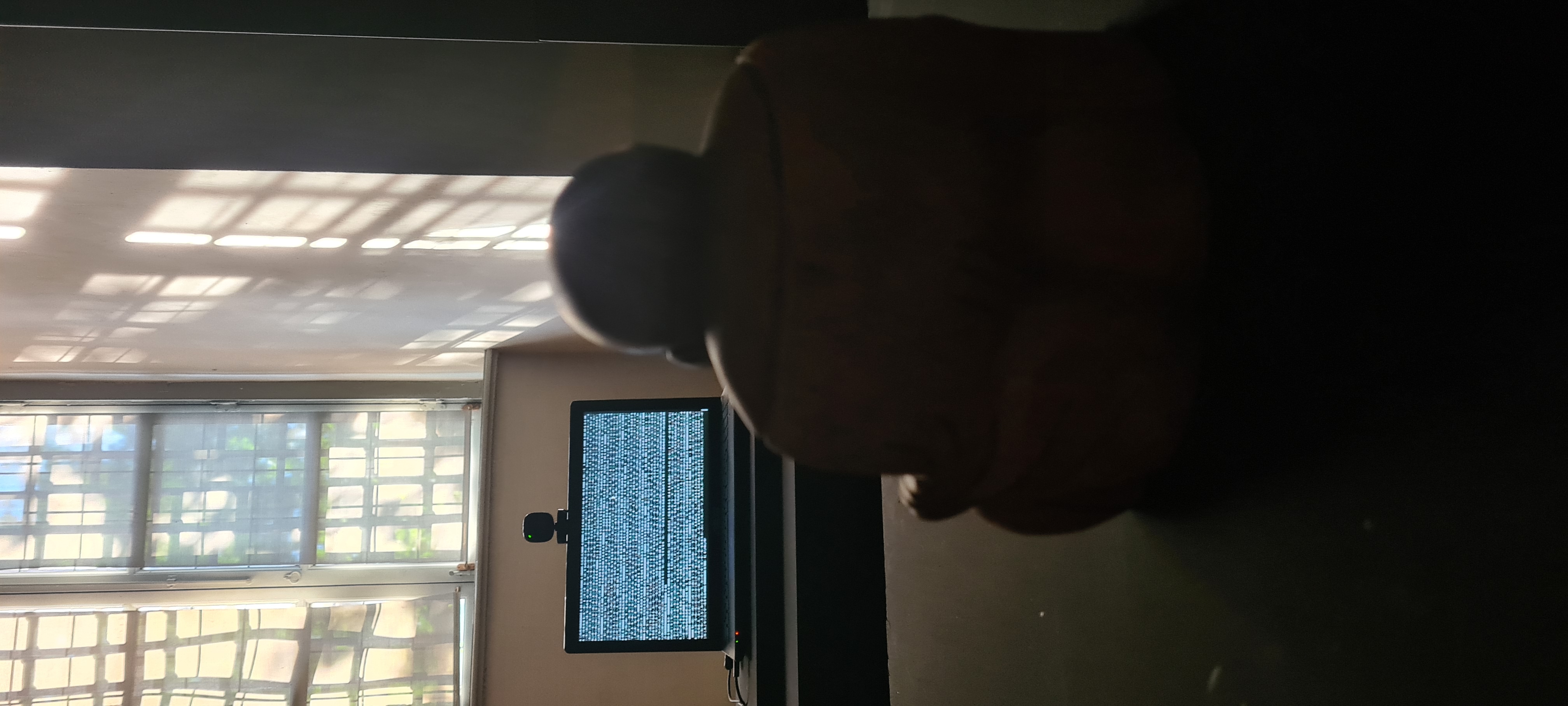 Me, or 6D 65 artwork - Wide view of the digital reinterpretation of TV Buddha