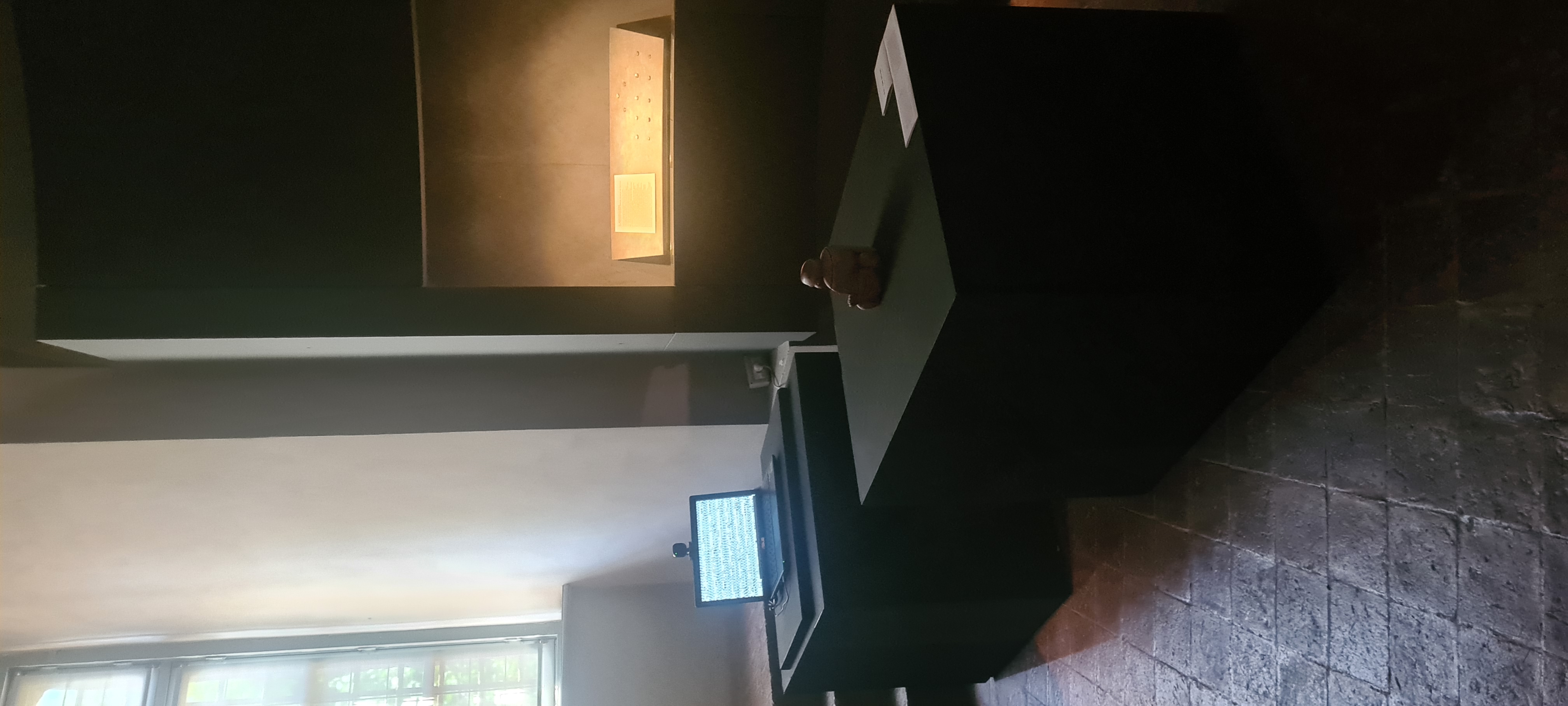Me, or 6D 65 artwork - Wide view of the digital reinterpretation of TV Buddha